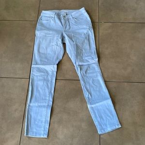 LOFT Light Blue Women's Pants
